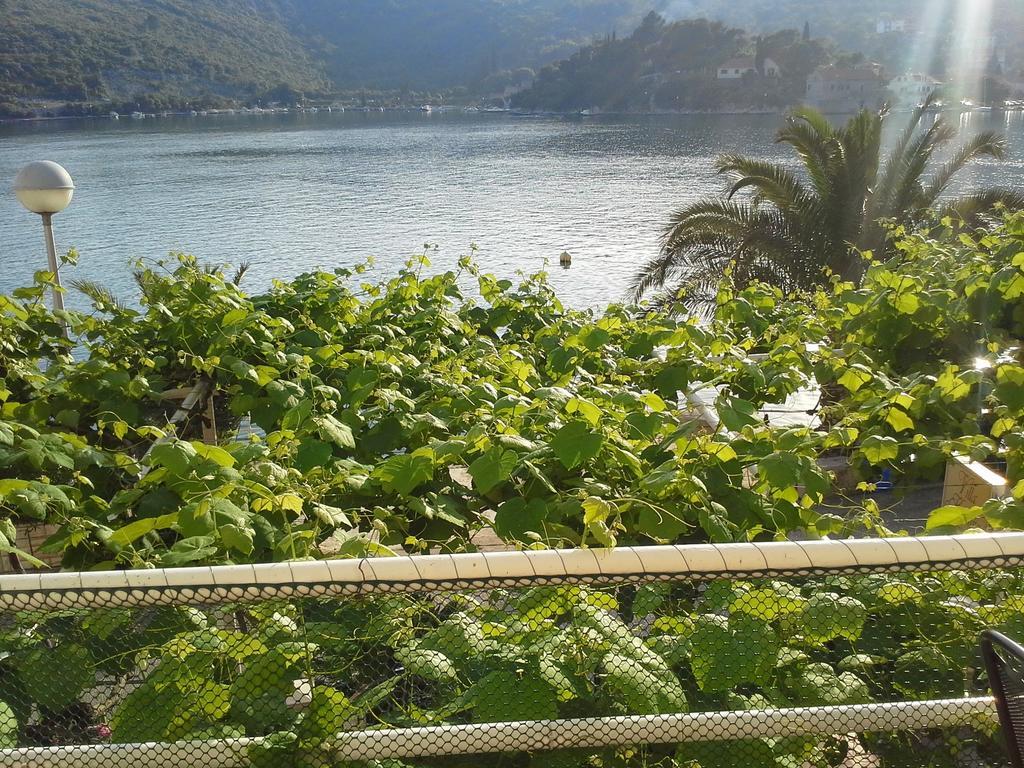 Villa Kukuljica Zaton  Δωμάτιο φωτογραφία