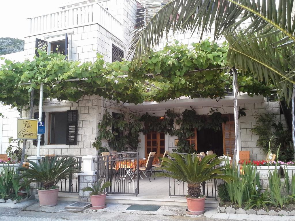 Villa Kukuljica Zaton  Εξωτερικό φωτογραφία